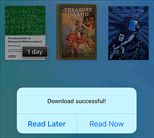 Download successful screen on iOS